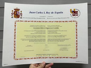 Universidad Miguel Hernández diploma
