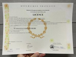 Université Montpellier diploma