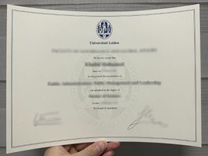 Universiteit Leiden diploma