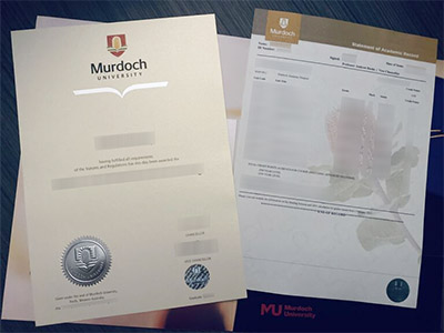 How much does to buy a Murdoch University diploma and transcript?