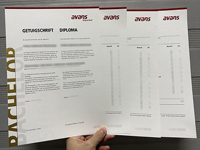 How to buy a Avans Hogeschool diploma and transcript online?