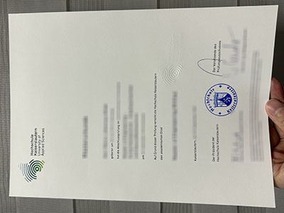 How much does to order a Hochschule Kaiserslautern Urkunde?