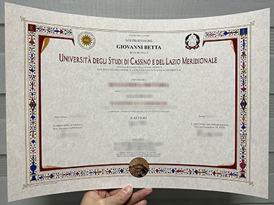 Obtain a Università degli Studi di Cassino e del Lazio Meridionale diploma