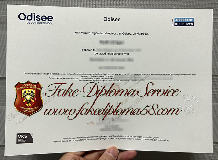 Odisee hogeschool diploma