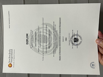 Where to obtain a Hochschule Burgenland diploma in 2025?