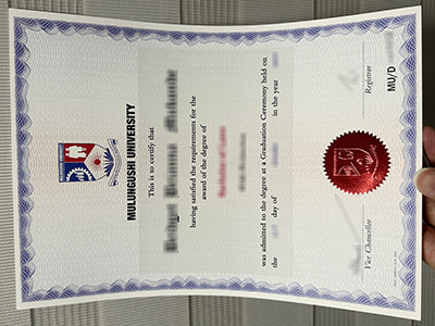 How to order a Mulungushi University diploma for a better job?