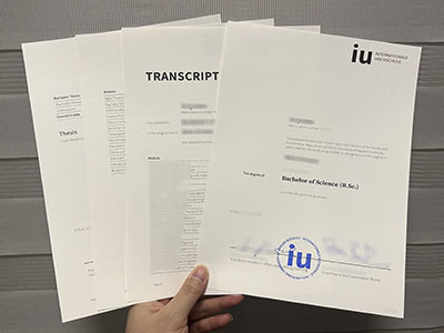 The samples of IU Internationale Hochschule degree and transcript.