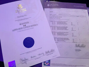 University of Queensland diploma and transcript